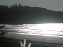 ./images/calvert/beach/20171102/beach20171102_142002.jpg