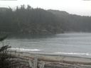 ./images/calvert/beach/20171104/beach20171104_122501.jpg