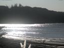 ./images/calvert/beach/20171105/beach20171105_125001.jpg