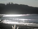 ./images/calvert/beach/20171105/beach20171105_125501.jpg