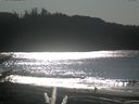 ./images/calvert/beach/20171105/beach20171105_130002.jpg