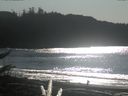 ./images/calvert/beach/20171105/beach20171105_131503.jpg