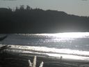 ./images/calvert/beach/20171105/beach20171105_132002.jpg