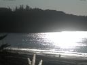 ./images/calvert/beach/20171105/beach20171105_132502.jpg