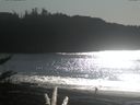 ./images/calvert/beach/20171105/beach20171105_133003.jpg