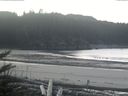 ./images/calvert/beach/20171109/beach20171109_110503.jpg