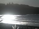 ./images/calvert/beach/20171202/beach20171202_125501.jpg