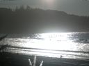 ./images/calvert/beach/20171206/beach20171206_132001.jpg