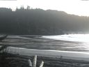 ./images/calvert/beach/20171211/beach20171211_135502.jpg