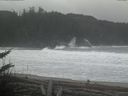 ./images/calvert/beach/20171217/beach20171217_103502.jpg