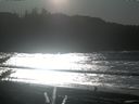 ./images/calvert/beach/20171219/beach20171219_131001.jpg