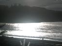 ./images/calvert/beach/20180102/beach20180102_132501.jpg