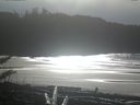 ./images/calvert/beach/20180111/beach20180111_133002.jpg