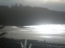 ./images/calvert/beach/20180111/beach20180111_134001.jpg