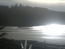 ./images/calvert/beach/20180111/beach20180111_135002.jpg