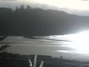 ./images/calvert/beach/20180111/beach20180111_140002.jpg