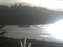 ./images/calvert/beach/20180111/beach20180111_140502.jpg
