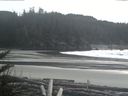 ./images/calvert/beach/20180113/beach20180113_153003.jpg
