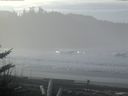 ./images/calvert/beach/20180114/beach20180114_115503.jpg