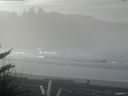 ./images/calvert/beach/20180114/beach20180114_123002.jpg