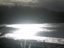 ./images/calvert/beach/20180117/beach20180117_133001.jpg