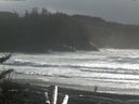 ./images/calvert/beach/20180118/beach20180118_145001.jpg