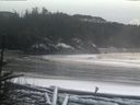 ./images/calvert/beach/20180126/beach20180126_172003.jpg