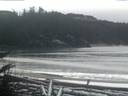 ./images/calvert/beach/20180128/beach20180128_081002.jpg