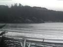./images/calvert/beach/20180128/beach20180128_082003.jpg