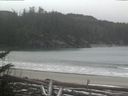 ./images/calvert/beach/20180128/beach20180128_115003.jpg