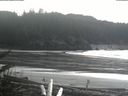 ./images/calvert/beach/20180210/beach20180210_143003.jpg