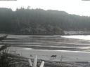 ./images/calvert/beach/20180212/beach20180212_163502.jpg