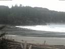 ./images/calvert/beach/20180214/beach20180214_073002.jpg