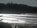 ./images/calvert/beach/20180217/beach20180217_131001.jpg
