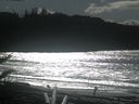 ./images/calvert/beach/20180217/beach20180217_133003.jpg