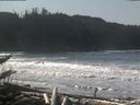 ./images/calvert/beach/20180301/beach20180301_115003.jpg
