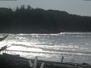 ./images/calvert/beach/20180301/beach20180301_130502.jpg