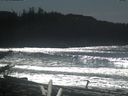./images/calvert/beach/20180302/beach20180302_132002.jpg