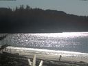 ./images/calvert/beach/20180304/beach20180304_134502.jpg
