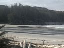 ./images/calvert/beach/20180307/beach20180307_102502.jpg