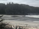 ./images/calvert/beach/20180307/beach20180307_103002.jpg