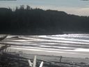 ./images/calvert/beach/20180307/beach20180307_133501.jpg