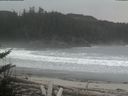 ./images/calvert/beach/20180313/beach20180313_113002.jpg