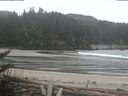 ./images/calvert/beach/20180320/beach20180320_112003.jpg