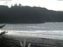 ./images/calvert/beach/20180401/beach20180401_140503.jpg