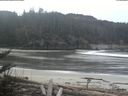 ./images/calvert/beach/20180402/beach20180402_105002.jpg