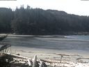 ./images/calvert/beach/20180404/beach20180404_110001.jpg