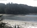 ./images/calvert/beach/20180404/beach20180404_113002.jpg