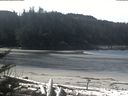 ./images/calvert/beach/20180404/beach20180404_114503.jpg