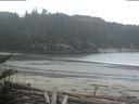 ./images/calvert/beach/20180405/beach20180405_082002.jpg